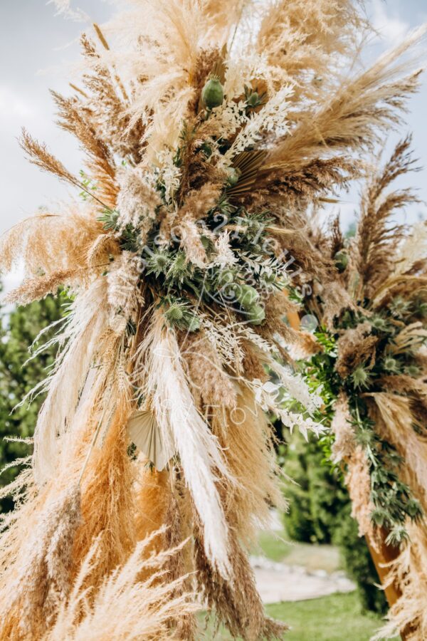 Pampas Grass Stem 80-100cm - Natural - Image 8