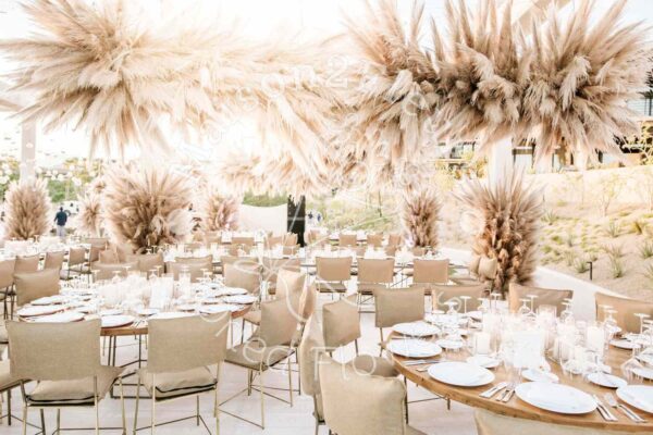 Pampas Grass Stem 80-100cm - Natural - Image 5