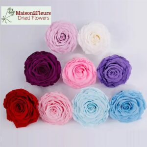 DIY - Preserved Flowers - Consumer