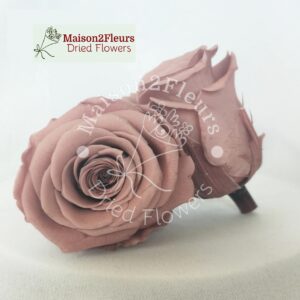 Preserved Rose Heads 2-3cm - 21pcs/box  - CARAMEL