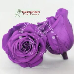Preserved Rose Heads 5-6cm - per Unit - Premium Quality - PURPLE