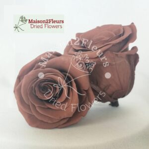 Preserved Rose Heads 2-3cm - 21pcs/box  - COFFEE