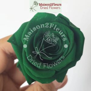 Preserved Rose Heads 2-3cm - 21pcs/box  - DARK GREEN