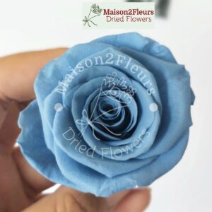 Preserved Rose Heads 5-6cm -Premium Quality - per Unit - DUSTY BLUE