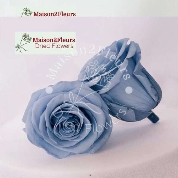 Preserved Rose Heads 2-3cm - 21pcs/box  - DUSTY BLUE - Image 3