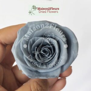 Preserved Rose Heads 2-3cm - 21pcs/box  - GREY