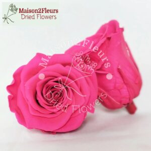 Preserved Rose Heads 2-3cm - 21pcs/box  - HOT PINK