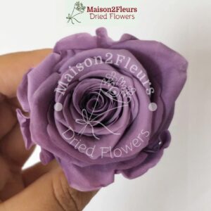 Preserved Rose Heads 2-3cm - 21pcs/box  - LAVANDER