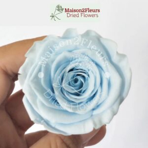Preserved Rose Heads 5-6cm - per Unit - Premium Quality - LIGTH BLUE
