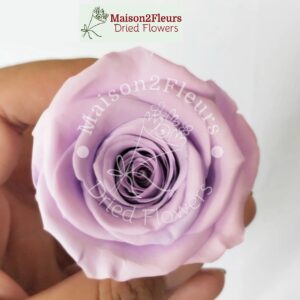 Preserved Rose Heads 2-3cm - 21pcs/box  - LIGTH PURPLE