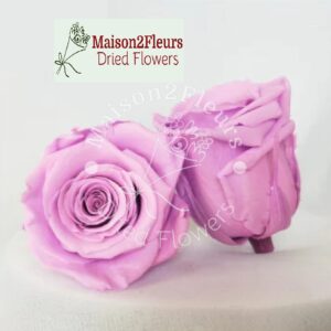 Preserved Rose Heads 5-6cm - per Unit - Premium Quality - PINK PURPLE