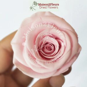 Preserved Rose Heads 5-6cm - per Unit - Premium Quality - SAKURA PINK