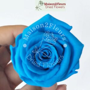 Preserved Rose Heads 2-3cm - 21pcs/box  - SEA BLUE
