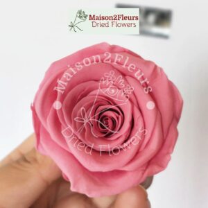Preserved Rose Heads 5-6cm - per Unit - Premium Quality - SWEET PINK