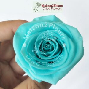 Preserved Rose Heads 5-6cm - per Unit - Premium Quality - TIFFANY BLUE