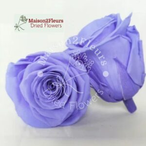Preserved Rose Heads 5-6cm - per Unit - Premium Quality - VIOLET