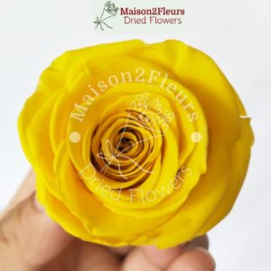 Preserved Rose Heads 2-3cm - per unit  - YELLOW