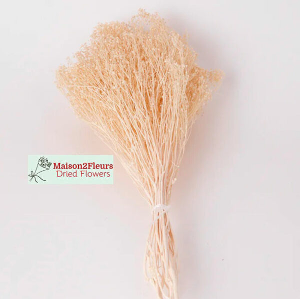 Broom Bloom Dried 100Gr - BLEACHED - Image 3