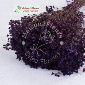 Broom Bloom Dried 100Gr - PURPLE