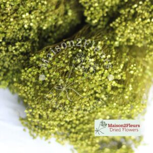 Broom Bloom Dried 100Gr - GREEN SALVIA