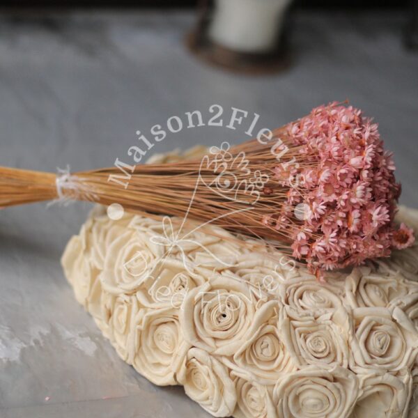 Glixia Dried 50Gr – ANTIQUE PINK - Image 2