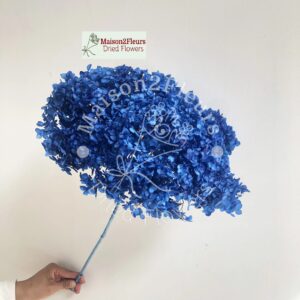 Preserved Hydrangea Anna Heads Extra - BLUE