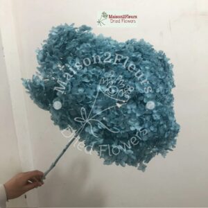 Preserved Hydrangea Anna Heads - Extra Quality - HASLE BLUE