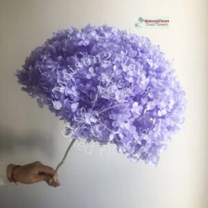 Preserved Hydrangea Anna Heads - Extra Quality - LAVANDER