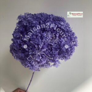 Preserved Hydrangea Anna Heads - Extra Quality - VIOLET