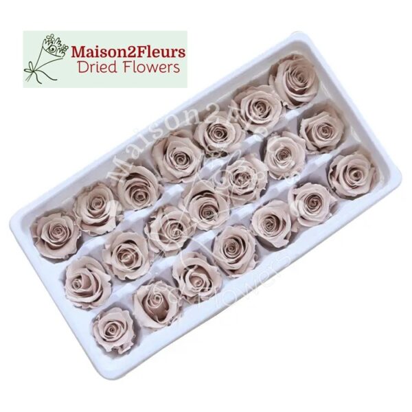 Preserved Rose Heads 2-3cm - 21pcs/box  - CAQUI - Image 3