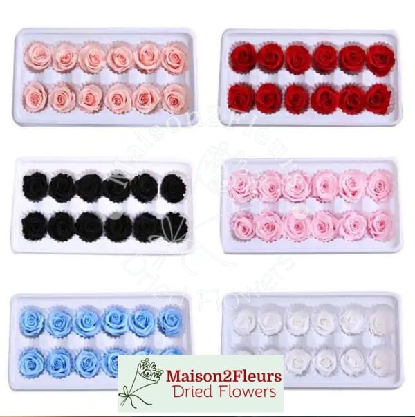 Têtes de Roses Stabilisées 2-3cm - 21pcs/boîte - ROUGE (Copy) (Copy) (Copy) (Copy) (Copy) (Copy) – Image 2
