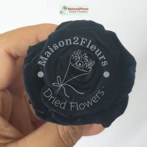 Preserved Rose Heads 2-3cm - per unit  - BLACK