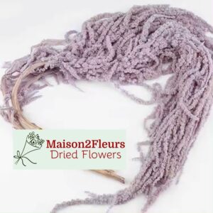 Preserved Amaranthus Caudatus - LIGTH PURPLE