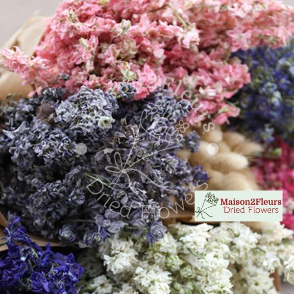 Delphinium Dried Bunch Extra - NATURAL PINK - Image 2