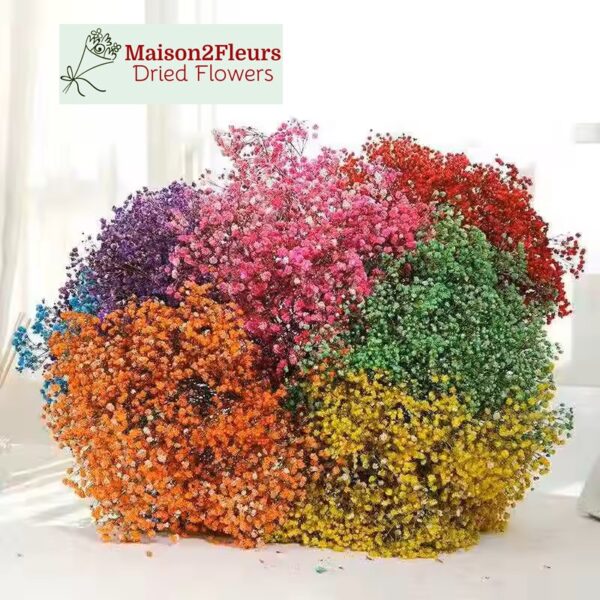 Gypsophile séchée en bouquet extra - ROSE – Image 2