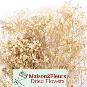 Gypsophila Dried Bunch Extra - NATURAL WHITE