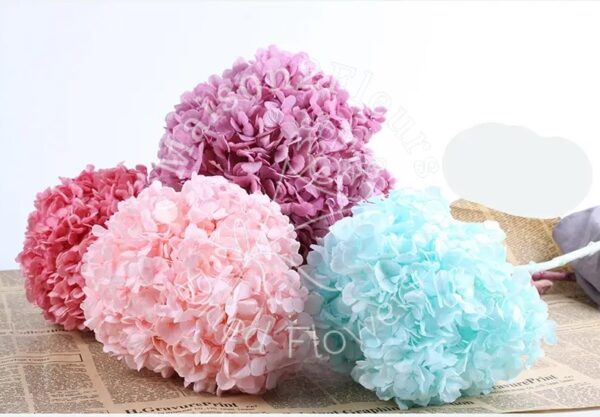 Preserved Hydrangea Big Leaf Heads - Extra Quality - LAVANDER - Image 3