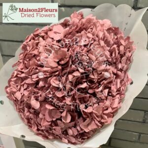 Preserved Hydrangea Big Leaf Heads - Extra Quality - ANTIQUE PINK