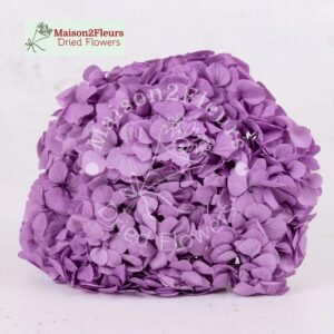 Preserved Hydrangea Big Leaf Heads - Extra Quality - LAVANDER