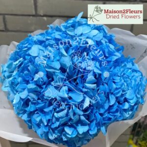 Preserved Hydrangea Big Leaf Heads - Extra Quality - SEA BLUE