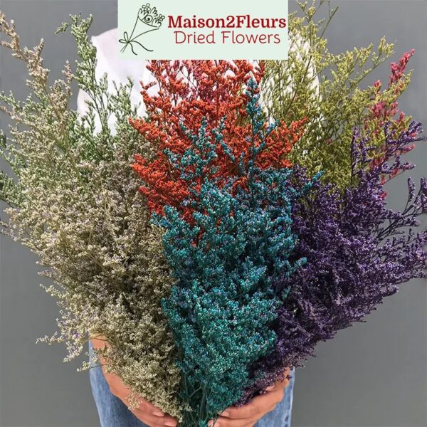 Preserved Limonium Caspia - Extra Quality - TERRACOTA - Image 2