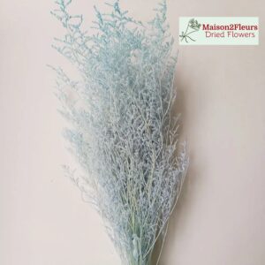 Preserved Limonium Caspia - Extra Quality - PASTEL BLUE