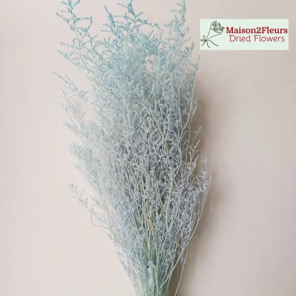 Preserved Limonium Caspia - Extra Quality - PASTEL BLUE