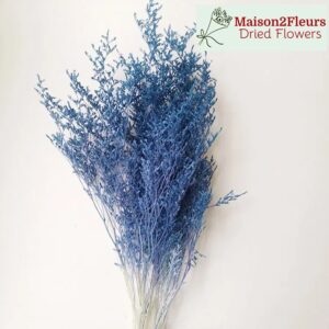 Preserved Limonium Caspia - Extra Quality - SKY BLUE