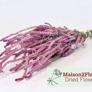 Limonium Suworowii Dried Bunch - Natural Pink
