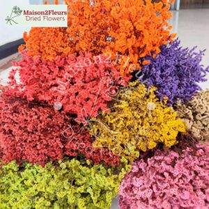 Preserved Flowers - Bunch