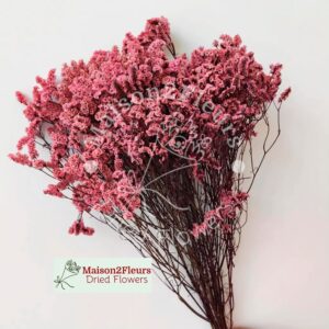 Limonium Sinensis Dried Bunch Extra 60cm - PINK