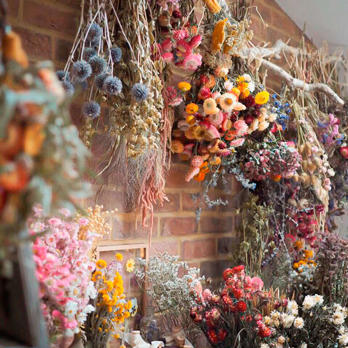 Flowers+Drying-500x500