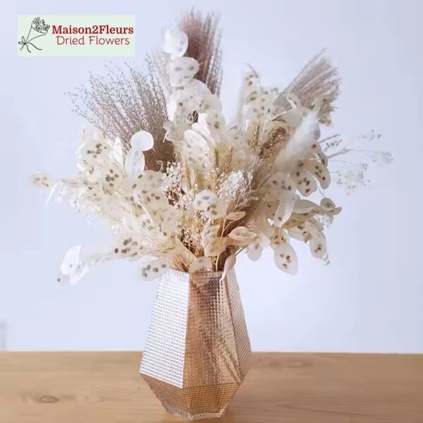 Lunaria Dried Bunch - NATURAL PEELED - Image 3