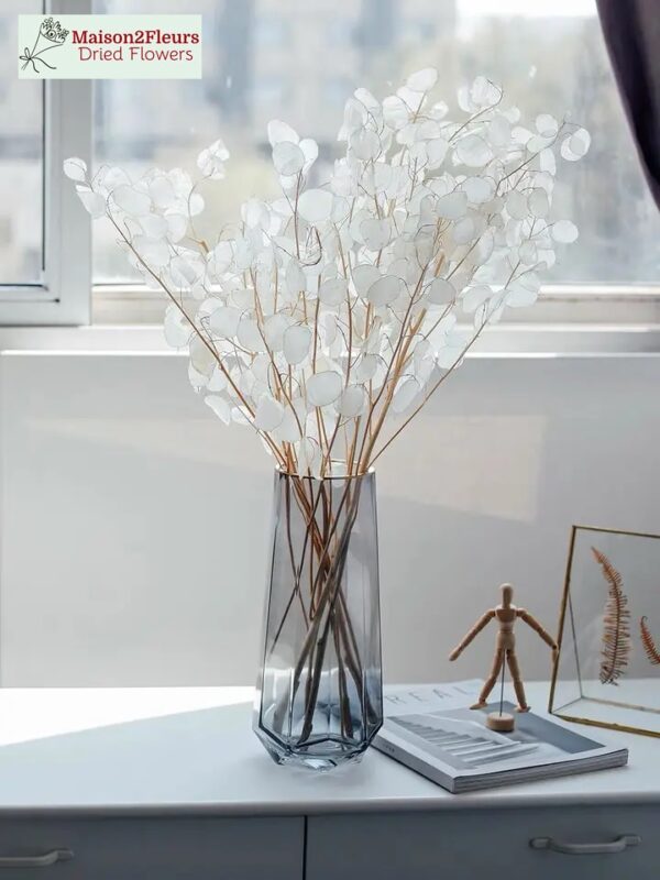 Lunaria Dried Bunch - NATURAL PEELED - Image 4